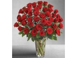 Regretless Love - 48 Stems Vase